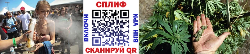 Канабис конопля  Иваново 